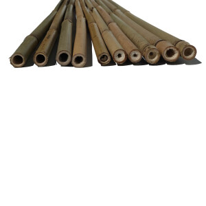 10 Tonkinstäbe 105 cm x 15 -17 mm