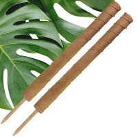 2 x Kokosstab für Kletter- und Zimmerpflanzen wie Monstera - Rankstab Länge 110 x 6,7cm Durchmesser