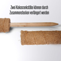 2 x Kokosstab für Kletter- und Zimmerpflanzen wie Monstera - Rankstab Länge 110 x 6,7cm Durchmesser