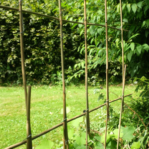 40 Klammern (Metallklammern, Clips) für Rankhilfe Bambus Stangen (Bambusrohr) zum Bau eines individuellen Rankgitters (plant support)  für Zimmerpflanzen, Tomaten (Tomato) oder eine Blumenwand