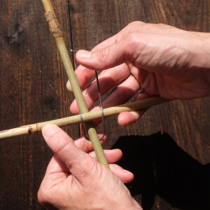 40 Tonkinklammern (Bambusklammern, Clips) für Bambus Stangen (Bambusrohr) mit Durchmesser 6-18 mm zum BAU eines individuellen Rankgitters (Plant Support) für Zimmerpflanzen, Tomaten (Tomato)