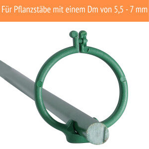 50 Pflanzenstäbe + 10 Pflanzenstützringe