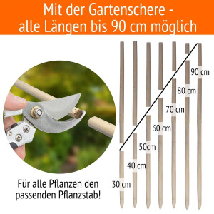 50 Pflanzenstäbe + 10 Pflanzenstützringe