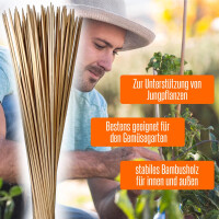 50 Pflanzenstäbe + 10 Pflanzenstützringe