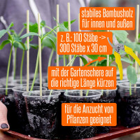 50 Pflanzenstäbe + 10 Pflanzenstützringe