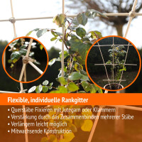 50 Pflanzenstäbe + 10 Pflanzenstützringe