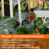 50 Pflanzenstäbe + 10 Pflanzenstützringe