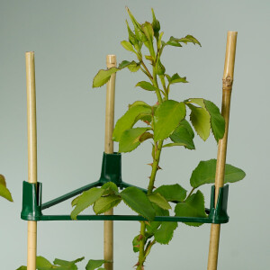 20 Tonkinstäbe 105 mm lang x 8-10mm Durchmesser + 10 Triangel Halterungen für 3 Bambusstäbe mit einem Durchmesser bis 10 mm z. B. für Gemüsepflanzen