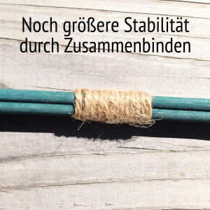 50 Rankhilfe dunkelgrün Rankstäbe Pflanzstäbe aus Bambus 90 cm lang 6 mm Ø