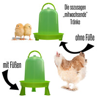 Hühnertränke 5,0L mit Füßen - grün