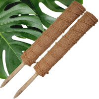2 x 60 cm Pflanzstab Kokosrankstab Ø 6,7cm aus natürlicher Kokosfaser Rankhilfe Moosstab für Kletter-Pflanzen wie Monstera - Rankstab 80cm