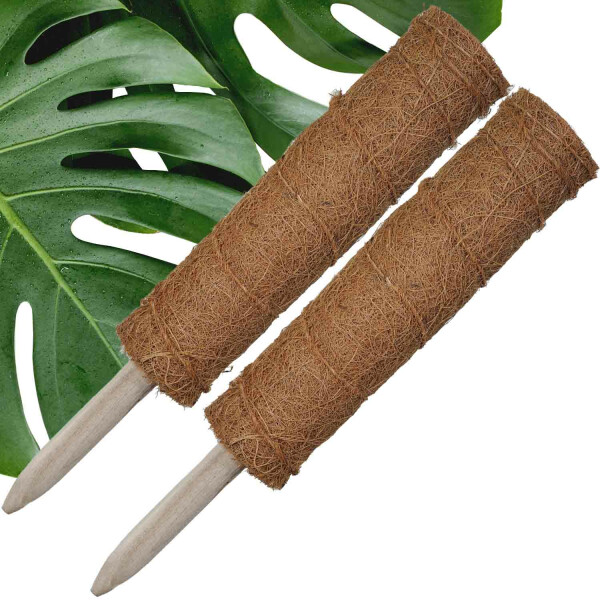 2 x 40 cm Pflanzstab Kokosrankstab Ø 6,7cm aus natürlicher Kokosfaser Rankhilfe Moosstab für Kletter-Pflanzen wie Monstera