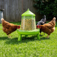 Futterautomat Hühner Rattensicher - Hühnerfutterautomat mit Futterspender für Geflügel, Wachteln - Großer Hühnerfutter Behälter als Futtertrog und Futternapf - Geflügeltränke