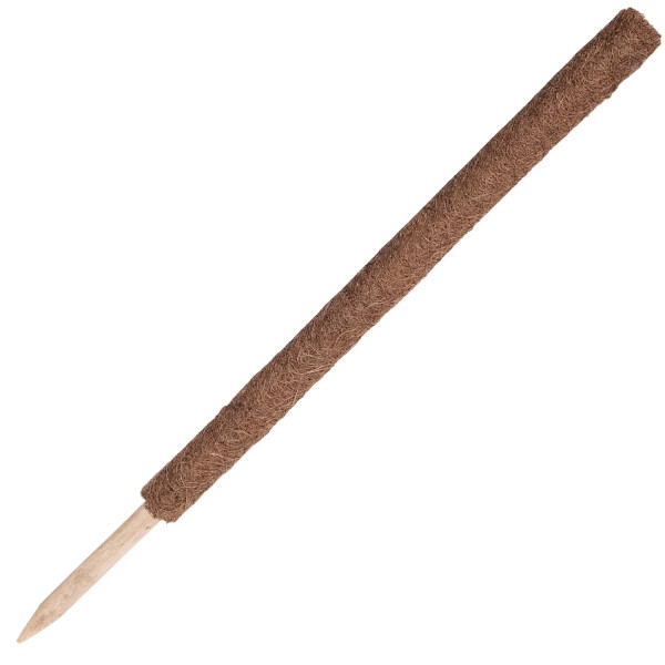 Kokos-Rankstab Länge 80cmx4cm
